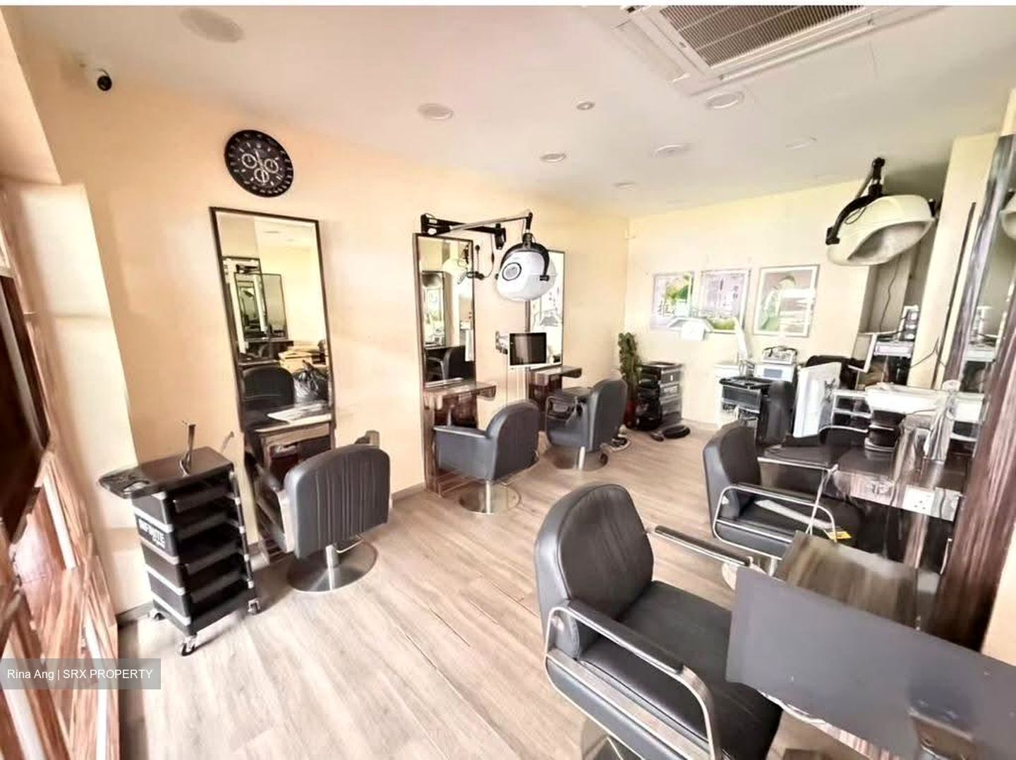 Hougang Avenue 1 (D19), Shop House #623049611